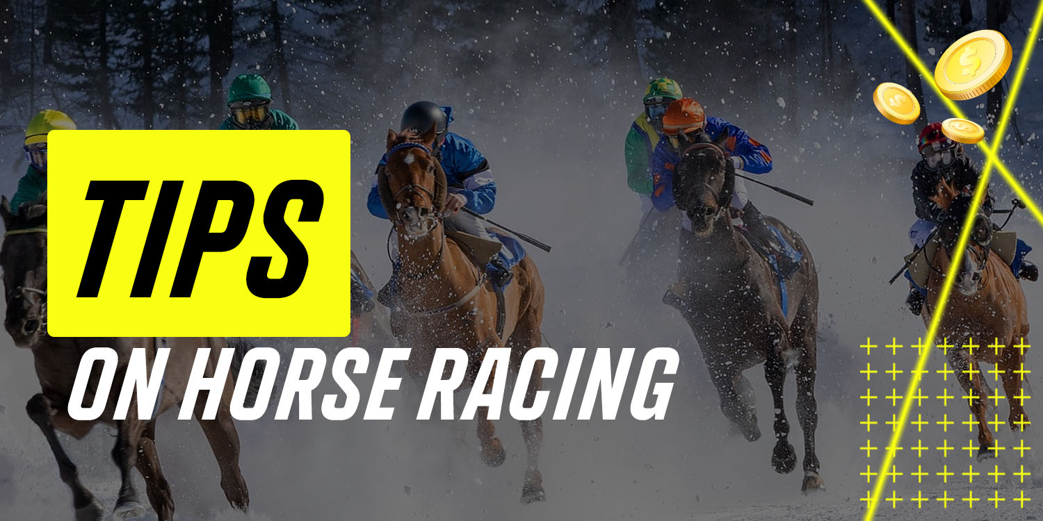 Tips on How to Bet on Horse Racing 2022