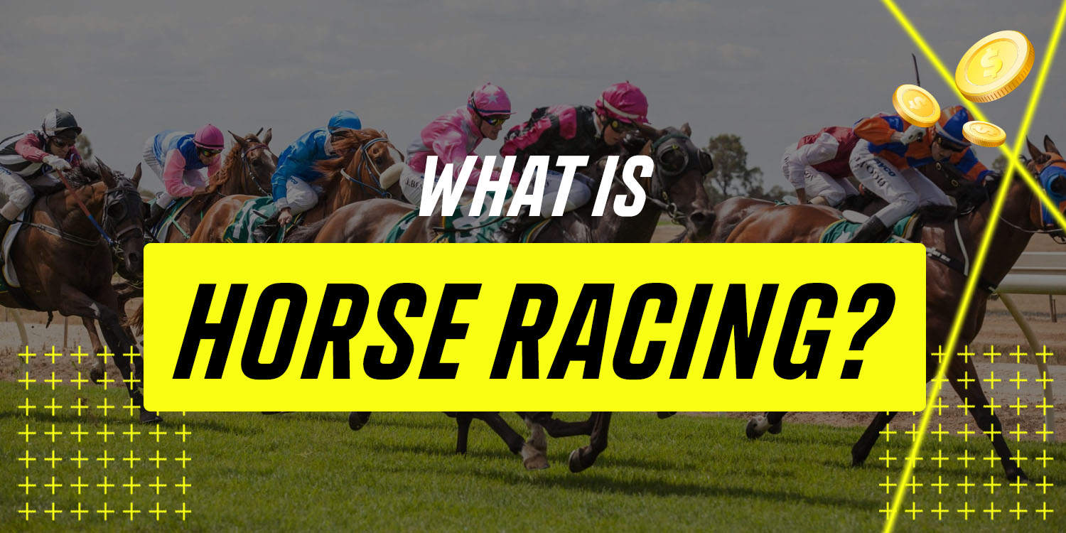 What is Horse Racing
